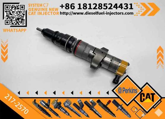 C7 C9 Fuel Injector 217-2570 235-2888 2352888 387-9433 3879433 293-4071 387-9427 3879427 263-8218 2638218