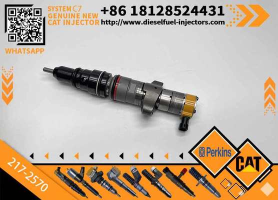 C7 C9 Fuel Injector 217-2570 235-2888 2352888 387-9433 3879433 293-4071 387-9427 3879427 263-8218 2638218