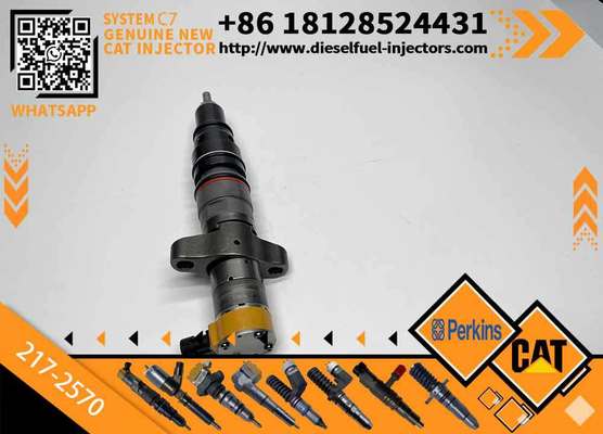 C7 C9 Fuel Injector 217-2570 235-2888 2352888 387-9433 3879433 293-4071 387-9427 3879427 263-8218 2638218