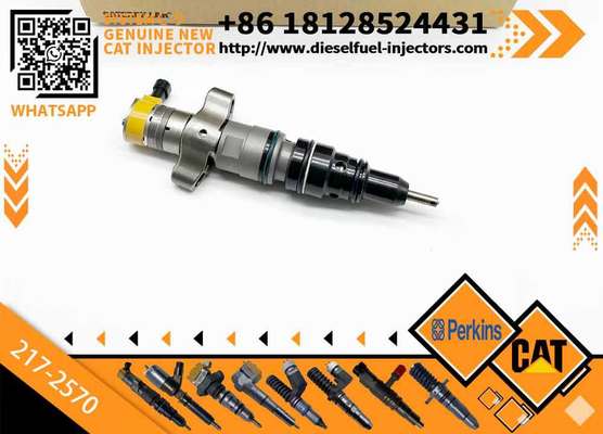 C7 C9 Fuel Injector 217-2570 235-2888 2352888 387-9433 3879433 293-4071 387-9427 3879427 263-8218 2638218