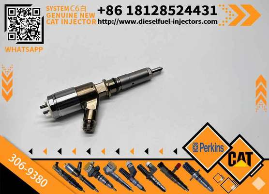 306-9380 China Made High Quality New Diesel Common Rail Fuel Injector 3069380 for CAT C6.6 Engine