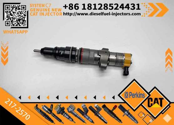 C7 C9 Fuel Injector 217-2570 235-2888 2352888 387-9433 3879433 293-4071 387-9427 3879427 263-8218 2638218