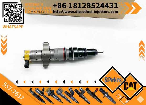 Wholesale Diesel Fuel Injector 387-9437 387-9438 557-7633 557-7637 328-2573 3879433 for Caterpillar C9 Engine