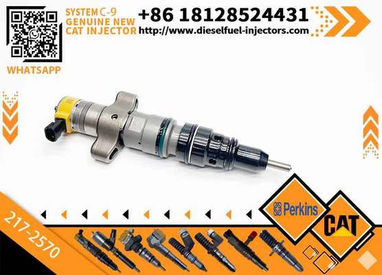 Excavator Parts C-9 Fuel Injector for Caterpillar Cat 330C Fuel Injector Nozzle 236-0962 235-2888 10R-7224 217-2570
